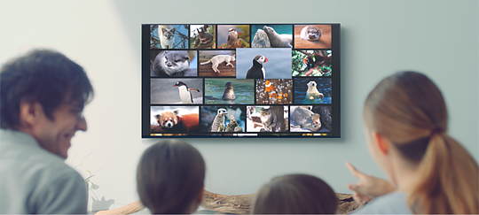 بررسی مشخصات، اخرین قیمت روز و خرید تلویزیون سونی مدل 49X8500F‎ در بانه ویترین، جدیدترین اطلاعات تلویزیون سونی 49X8500F‎، مشخصات و عکس‌ها