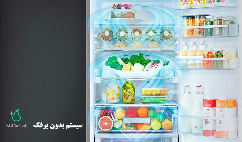 BOSCH Refrigerator freezer Model 56AI204 10